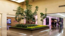 NorthPark Center, Dallas, TX