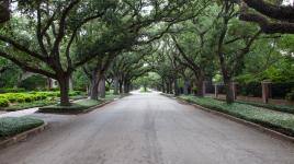 Broadacres Historic District, Houston, TX