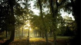 Memorial Park, Houston, TX