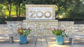 San Antonio Zoo, San Antonio, TX
