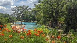 San Pedro Springs Park, San Antonio, TX