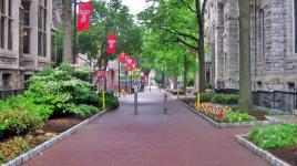 Temple University - Main Campus, Philadelphia, PA 