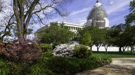 USCapitolGrounds_feature_BarrettDoherty_2015.jpg