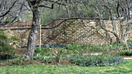 Pavilion Gardens - University of Virginia, Charlottesville, VA