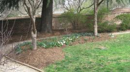 Pavilion Gardens, University of Virginia