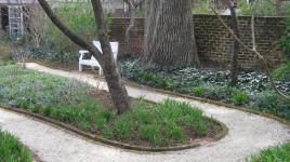 Pavilion Gardens, University of Virginia