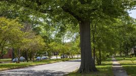 Brookland Parkway, Richmond, VA