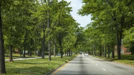 Ginter Park Historic District, Richmond, VA