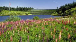 Weyerhaeuser International Headquarters, Federal Way, WA