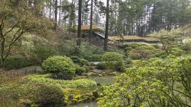 Portland Japanese Garden, Portland, WA