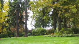 Dunn Gardens, Seattle, WA