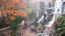Waterfall Garden, Seattle, WA