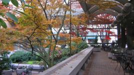 Waterfall Garden, Seattle, WA