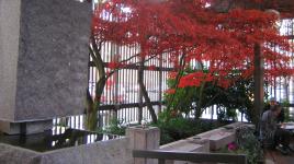 Waterfall Garden, Seattle, WA