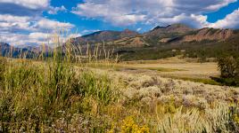 Yellowstone National Park in Wyoming