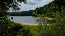 Walden Pond, Concord, MA