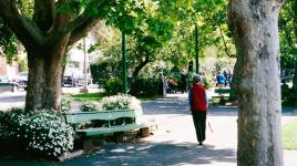 Washington Square, San Francisco, CA