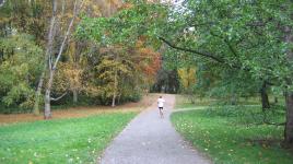 Washington Park Arboretum, Seattle, WA