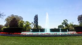 White House Grounds, Washington, D.C.