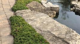 Wildwood Valley Memorial Gardens, Historic Bellefontaine Cemetery, Saint Louis, Missouri