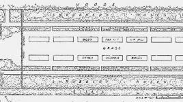 Plan of rose garden for the estate of William J. Tully