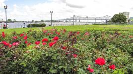 Woldenberg Park, New Orleans, LA