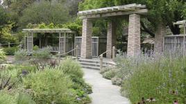 Zellerbach Garden of Perennials, San Francisco Botanical Gardens, San Francisco, California
