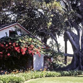 Rancho Los Alamitos