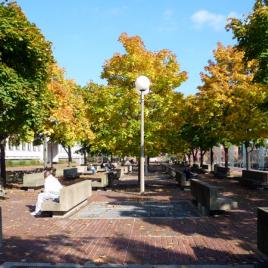 City Hall Plaza, Boston