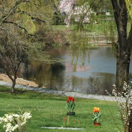 Mount Auburn Cemetery, Cambridge, MA