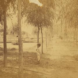 Man standing in San Pedro Springs Park, San Antonio, TX