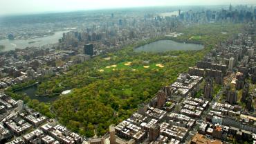 Aerial view of Central Park, New York City