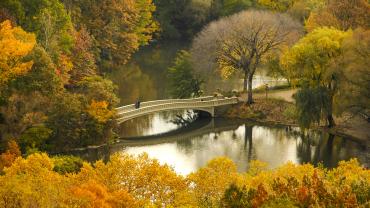 Central Park, New York City, NY