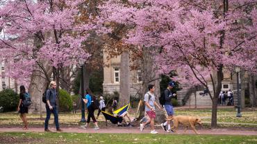 University of North Carolina, Chapel Hill, NC