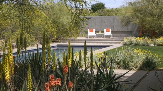Two chairs overlooking a pool.