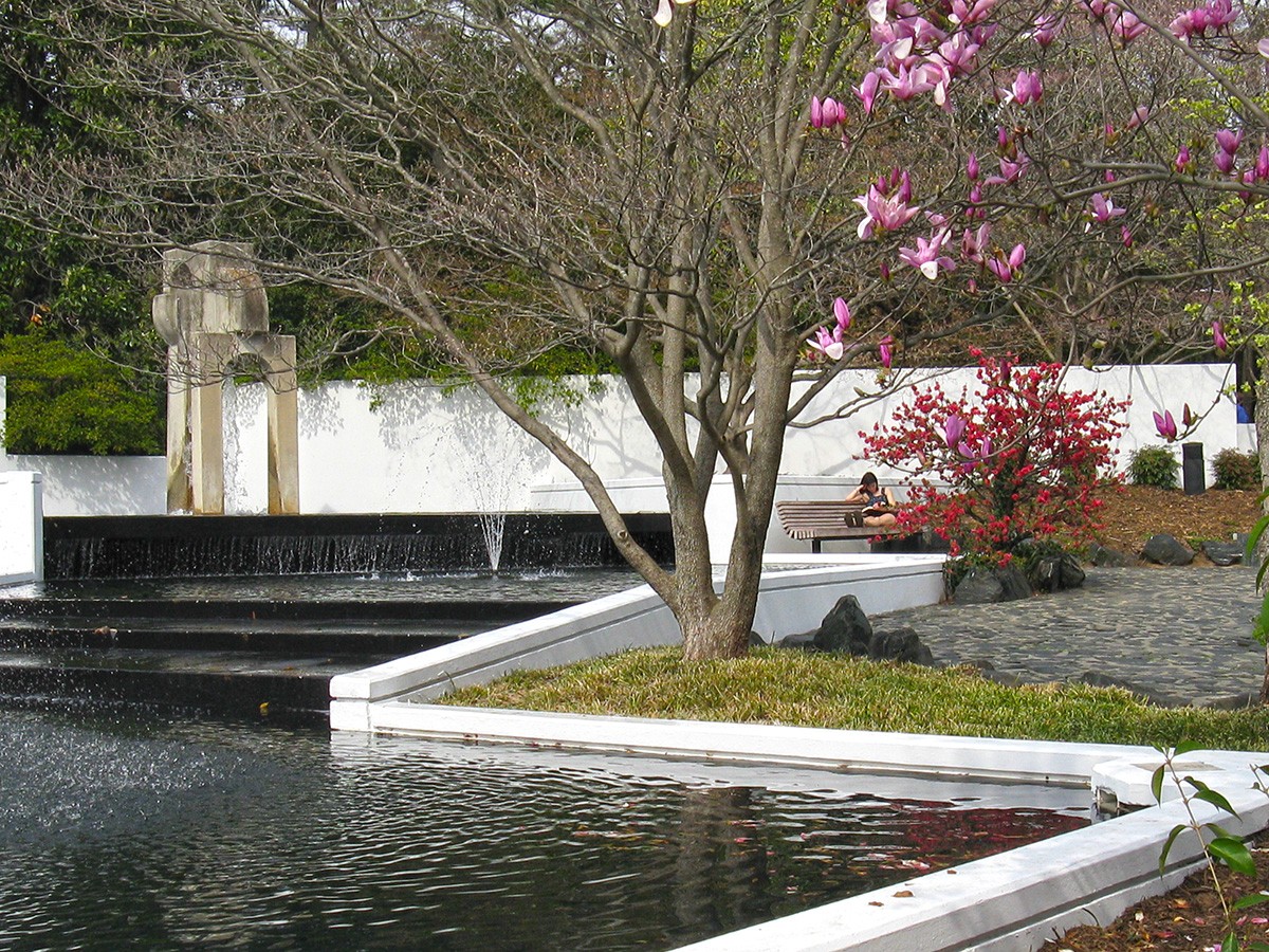 Landscape behind Talley Hall at North Carolina State University