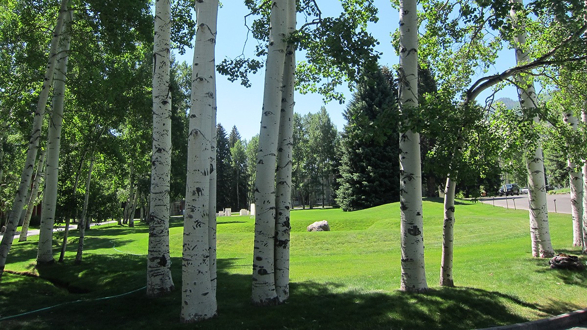 Aspen Institute | TCLF
