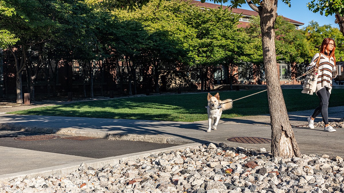 Urban Outfitters Headquarters TCLF