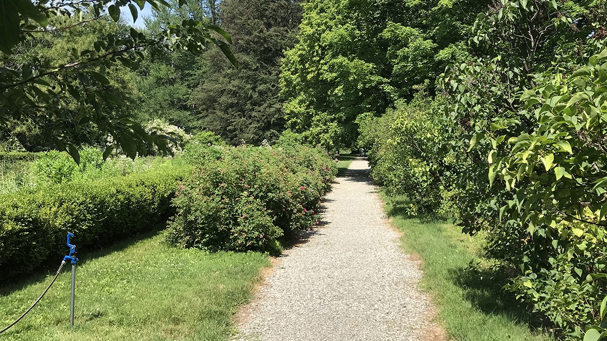 Locust Grove Estate TCLF