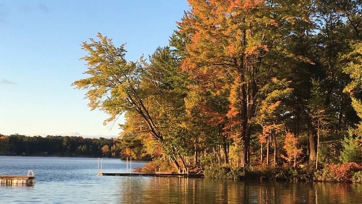 Woodland Park MI TCLF