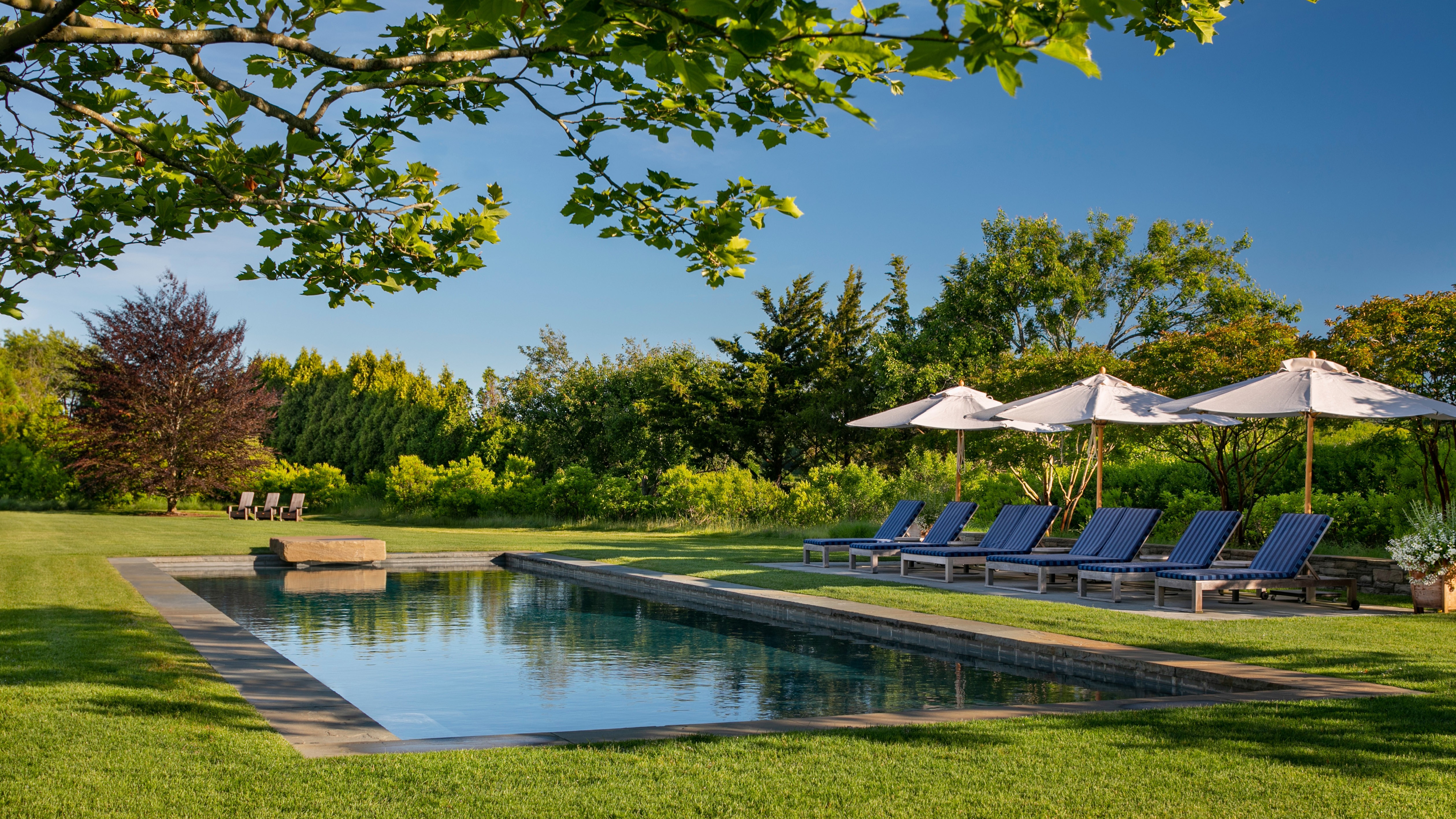 Pool with chairs and umbrellas.