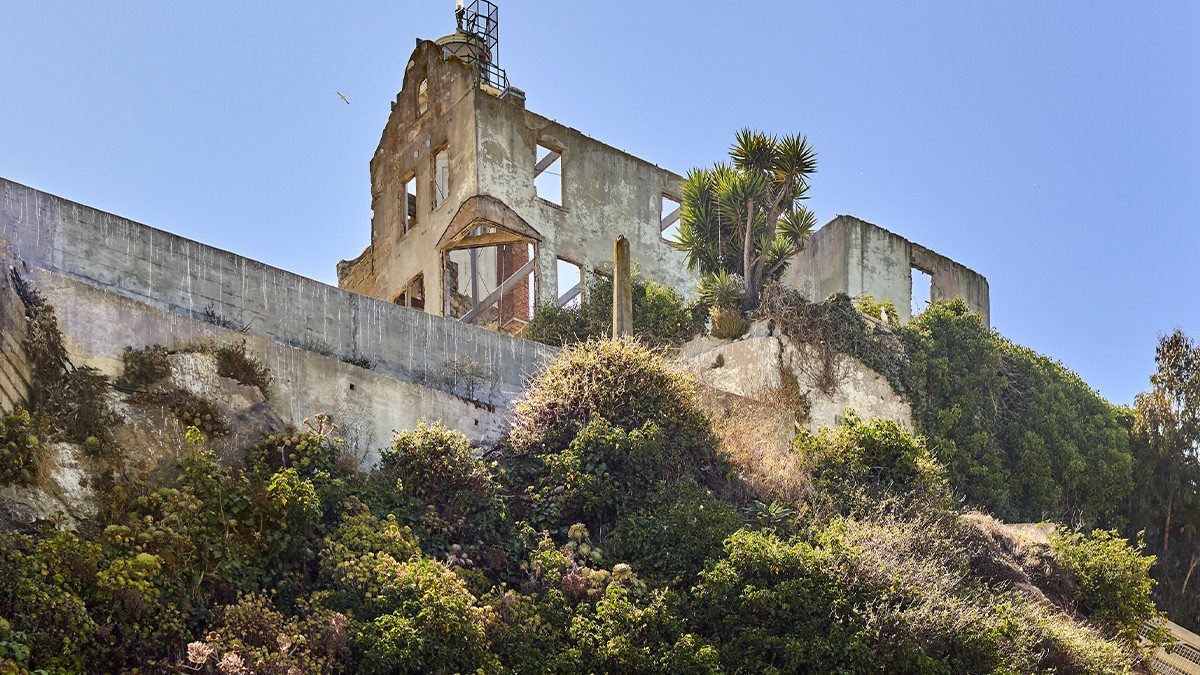 Alcatraz Island | TCLF