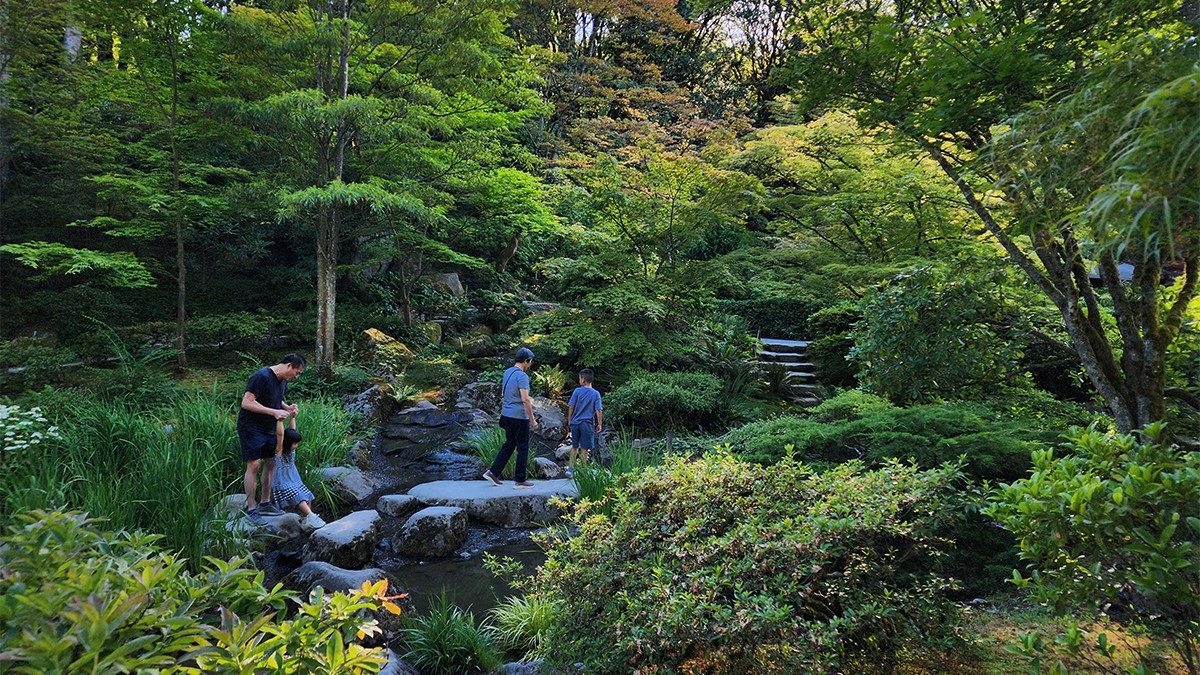 Seattle Japanese Garden | TCLF