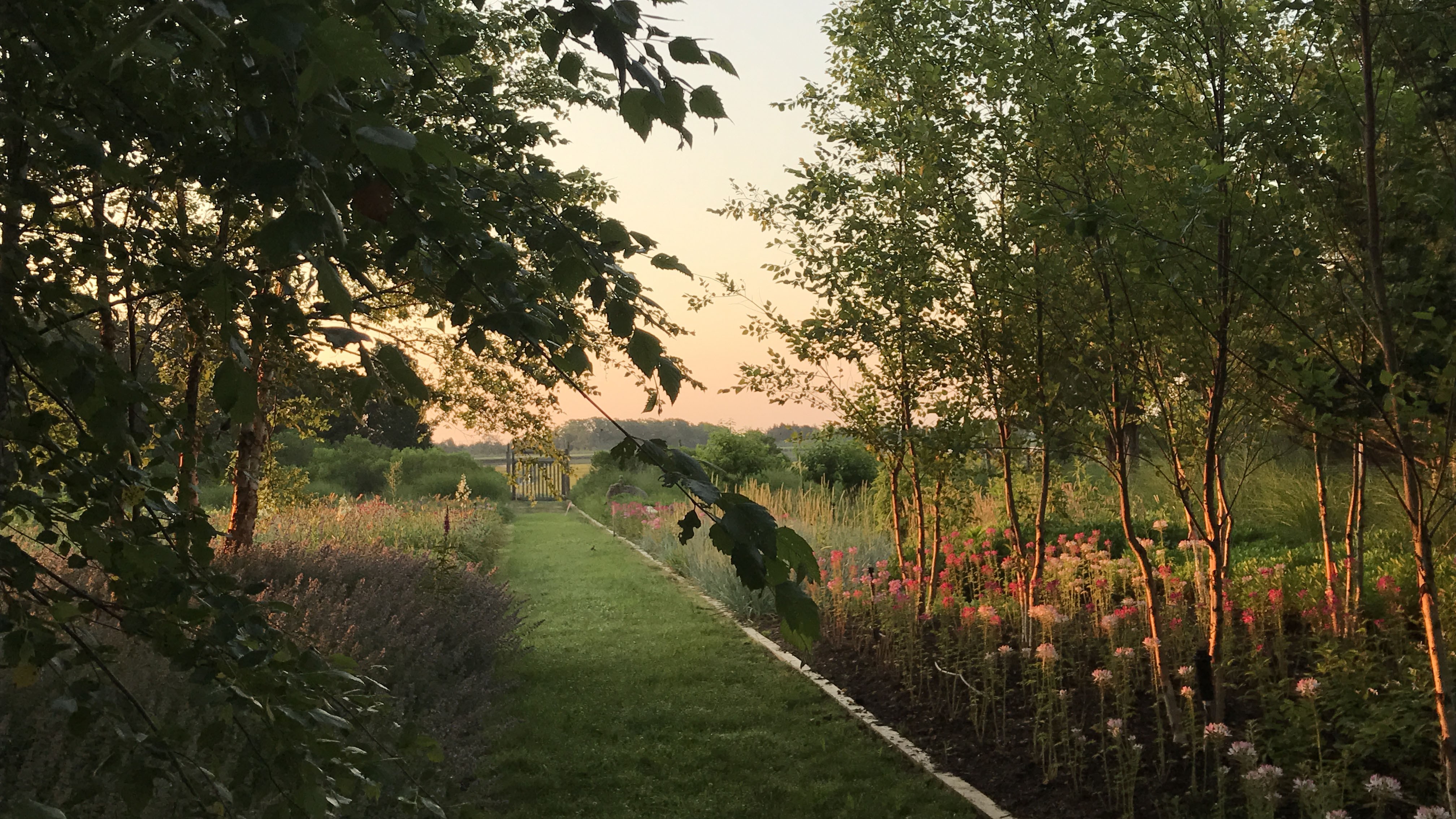 Path through a garden