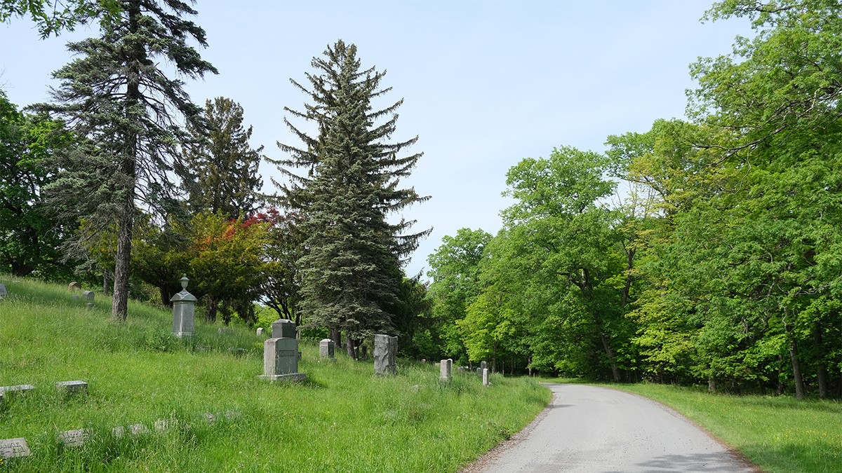 Albany Rural Cemetery | TCLF