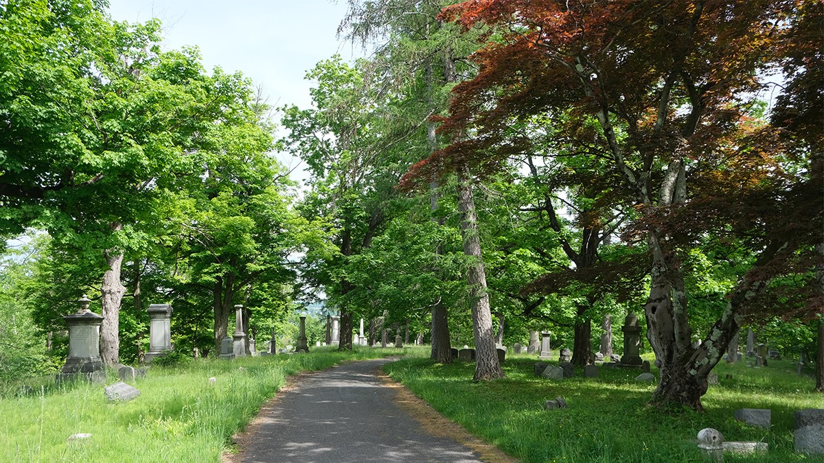Albany Rural Cemetery | TCLF