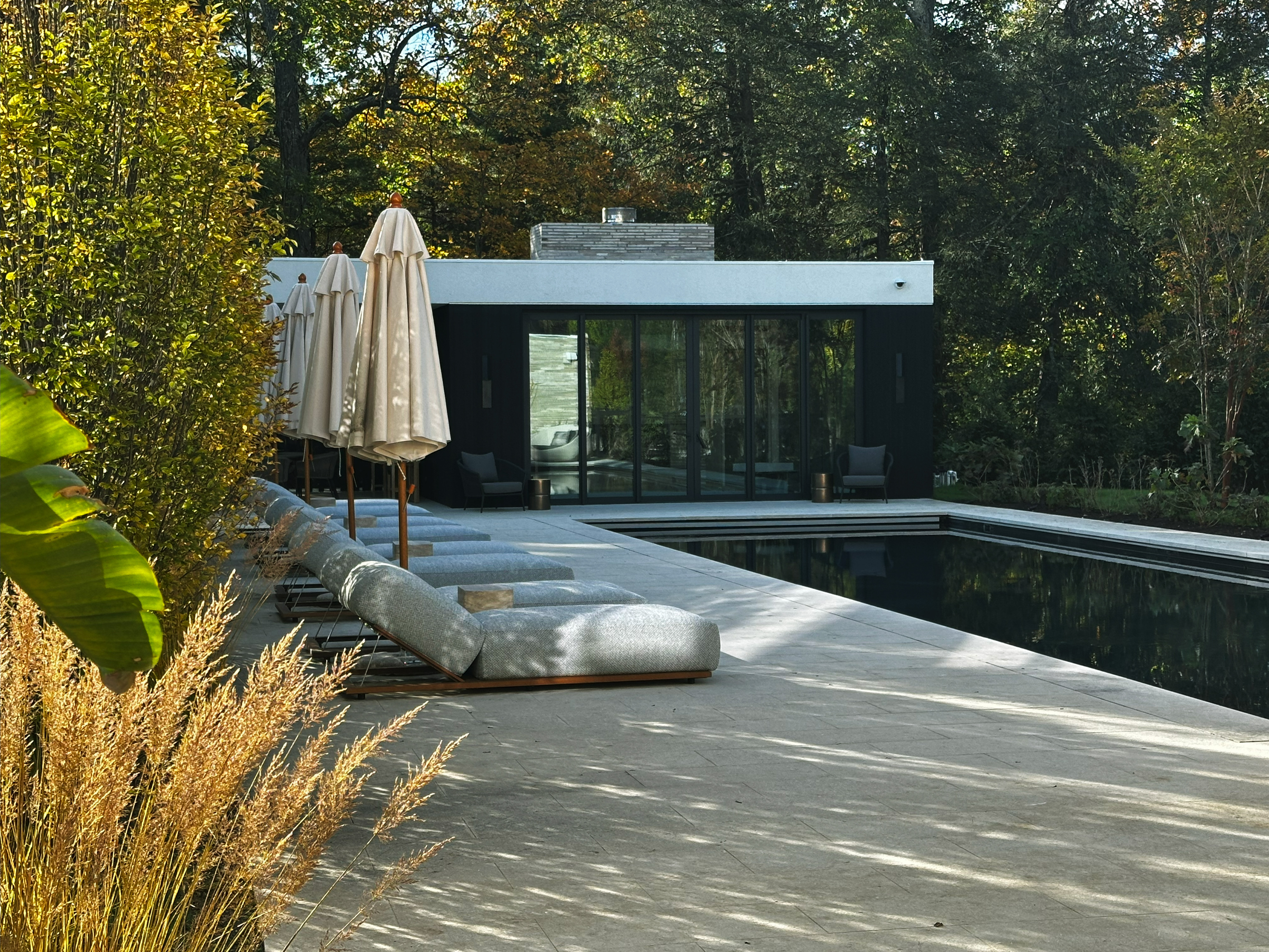 Pool at Modernista Garden