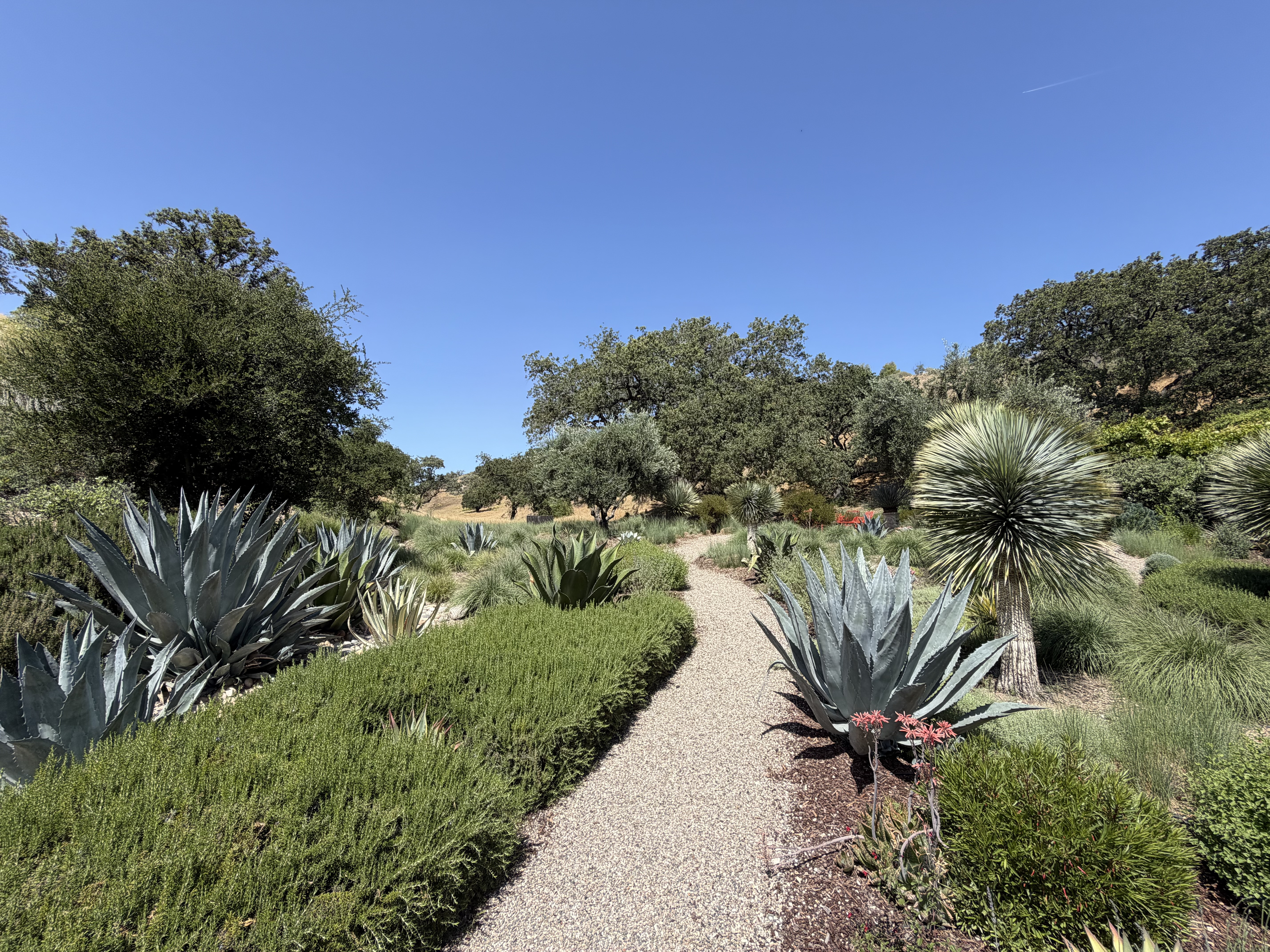 Valley Oak Ranch, Santa Ynez, CA