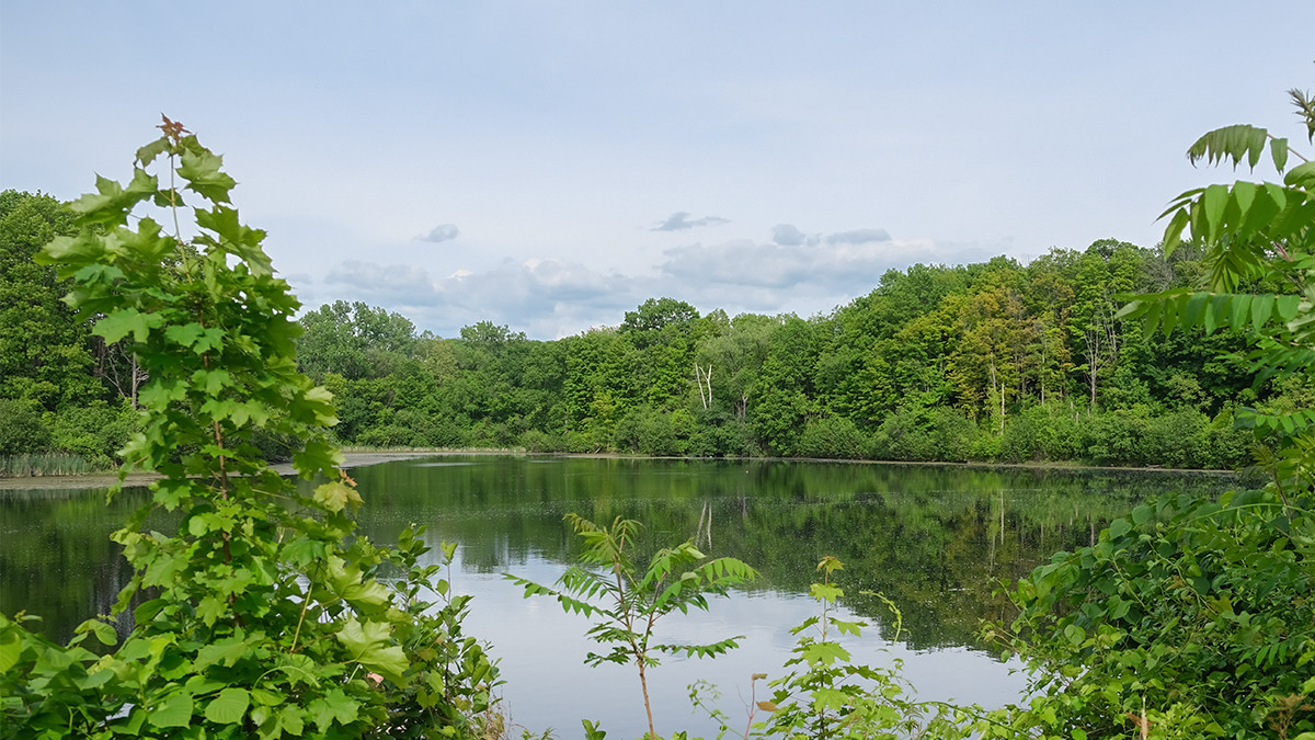Frear Park | TCLF