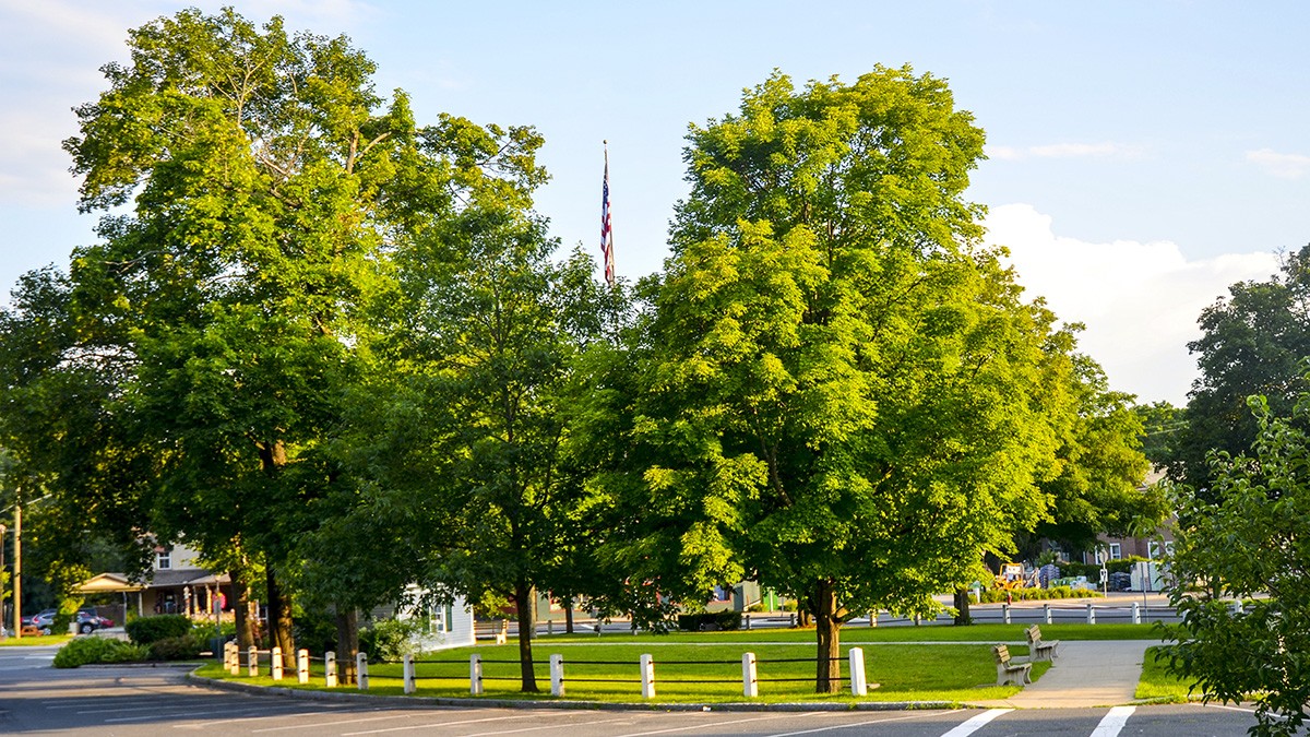 Lee Town Park | TCLF